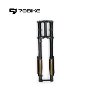 79Bike Falcon Pro FastAce ALX33RC 2.0 Fork (for Replacement)